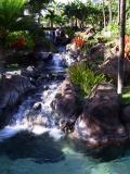 Beautiful grounds of the Hyatt