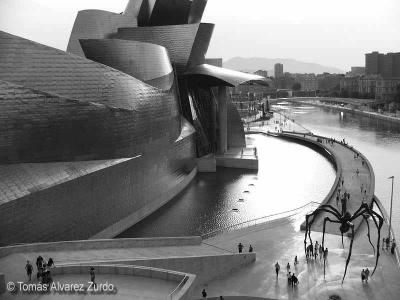Guggenheim Bilbao B/N