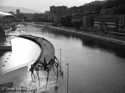 Guggenheim Bilbao B/N