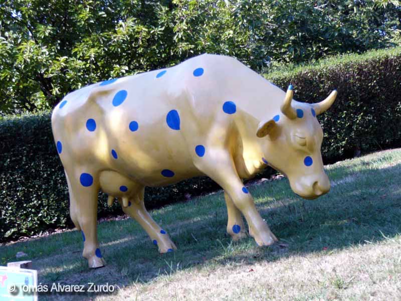 Vaca Lunares