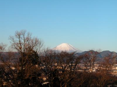 Mt. Fuji, winAM