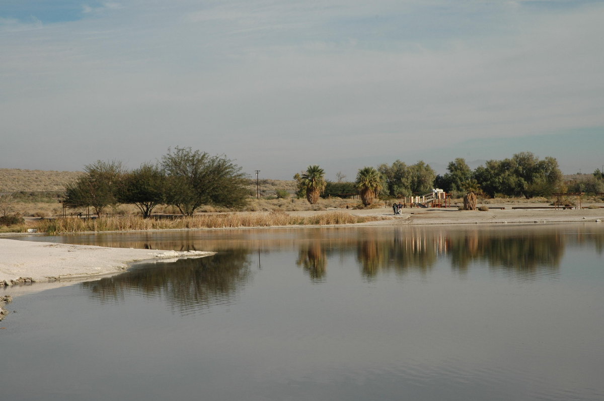 Saltonsea26.jpg