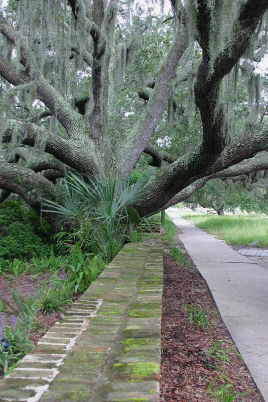 Spanish-Moss--Brick