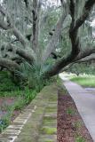 Spanish-Moss--Brick