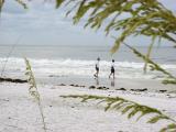 Beachcombers