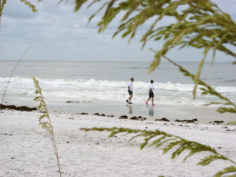 Beachcombers