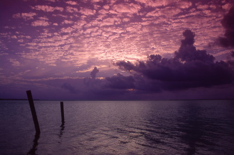 Dawn with Pilings