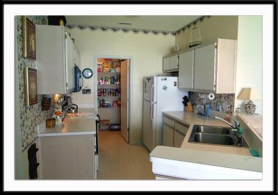 View of kitchen. Pantry/laundry is straight ahead. Pantry shelves courtesy of Steve and Donna.