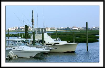 Murrells Inlet, South Carolina.