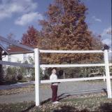 Image Doctor Removes Birds From Fence