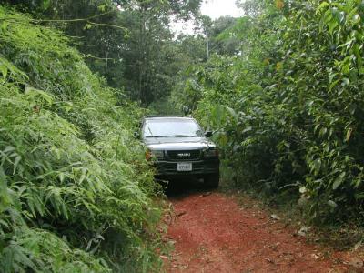 Caminos Estrechos