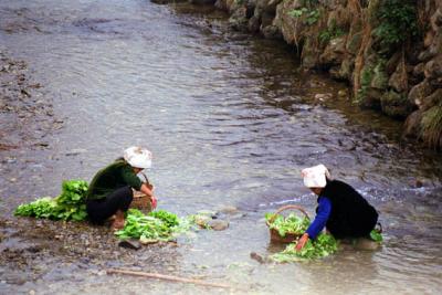 washing vegetables near Miao village in the ice cold river.jpg