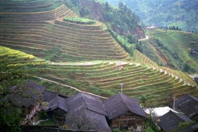 Longsheng rice terraces 3.jpg