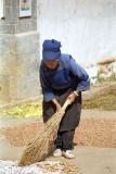 sweeping rice.jpg