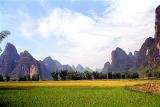 Yangshuo green.jpg