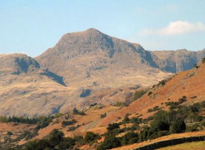 Harrison Stickle