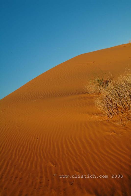 Red Dune Simpson Desert