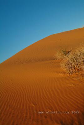 Red Dune Simpson Desert