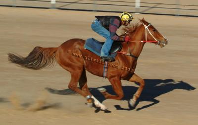 Birdsville early morning training