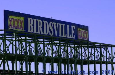 Birdsville starting barriers