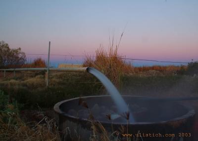   Artisian Spring in Birdsville