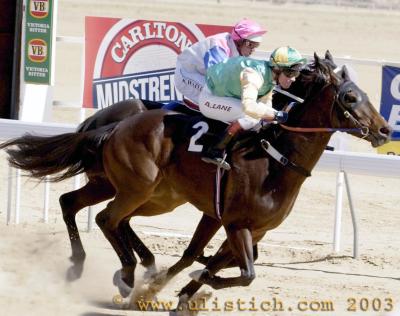 Birdsville races