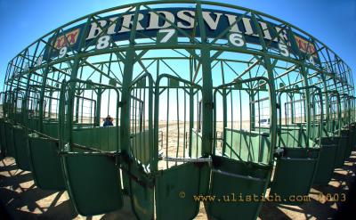 Birdsville starting barriers