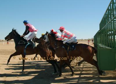 Birdsville starting barriers racing