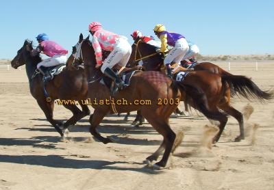 Birdsville starting barriers racing