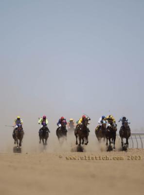 Birdsville  racing