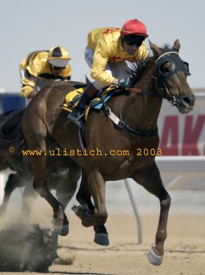 Birdsville starting barriers racing