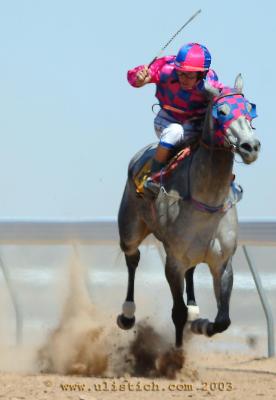 Birdsville starting barriers racing