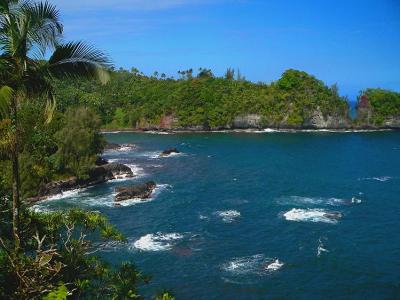 North Hilo Shoreline #2