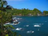 North Hilo Shoreline #2