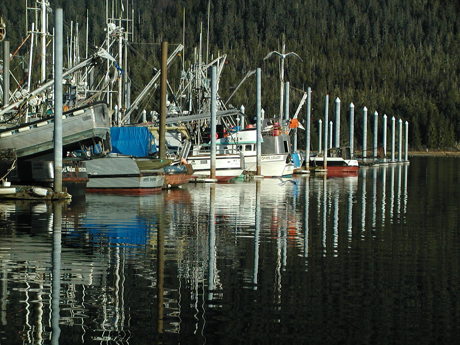 Petersburg, Alaska, Harbor