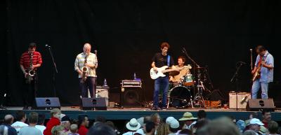 The Iguanas