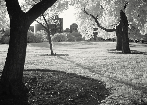 Chicago IR 02