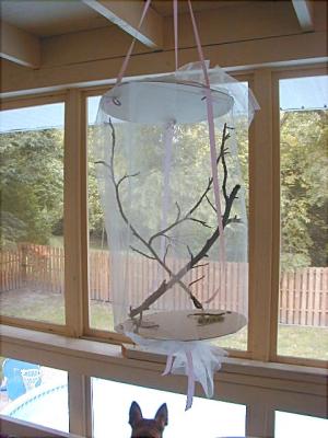 Homemade butterfly house - cost: $2.50 .