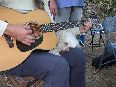 Cricket loves Robin's guitar playing