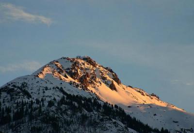 Gandstock in der Abendsonne