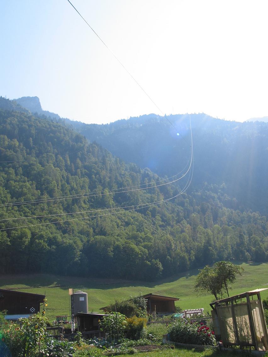 Blick hinauf