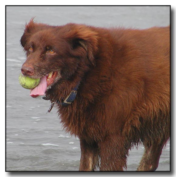 Heres the ball...are you going to throw it??