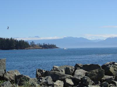 Sooke harbour