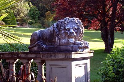 RRLion2