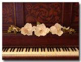 My Piano