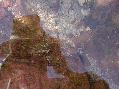 20050123-044.JPG