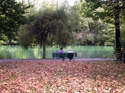 Autumn Leaves & A Bench