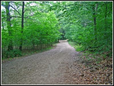 DSCF2358.jpg