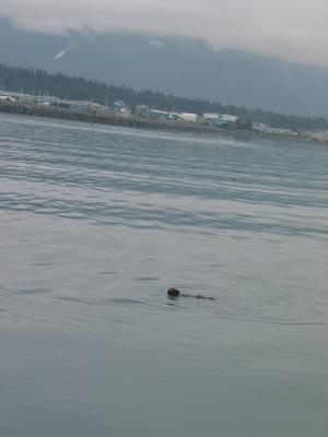 100_0052.JPG