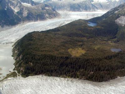 Two glaciers meet